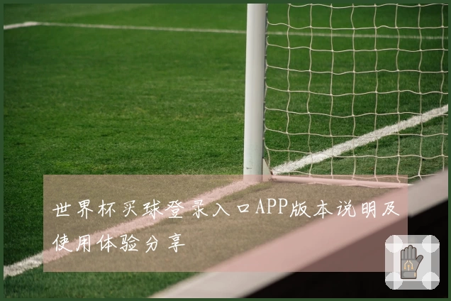 世界杯买球登录入口APP版本说明及使用体验分享
