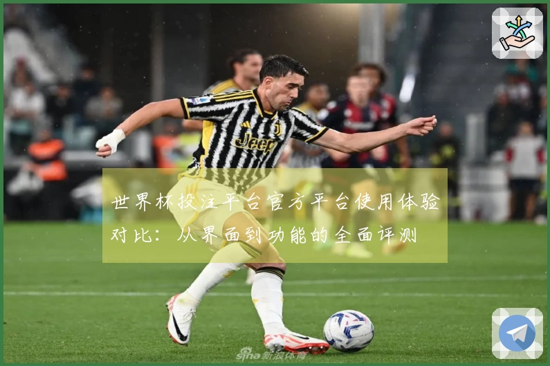 世界杯投注平台官方平台使用体验对比：从界面到功能的全面评测