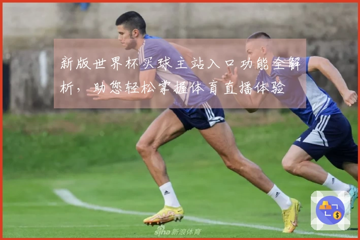 新版世界杯买球主站入口功能全解析，助您轻松掌握体育直播体验