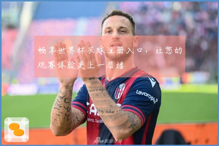 畅享世界杯买球注册入口，让您的观赛体验更上一层楼