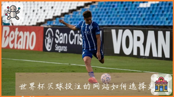 世界杯买球投注的网站如何选择更靠谱